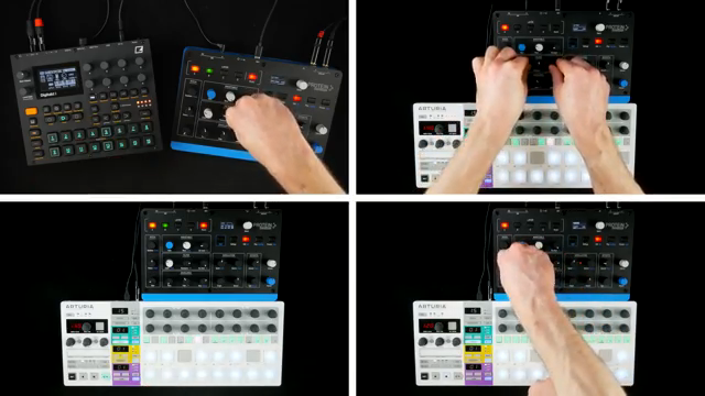 AudioPilz vs. Waldorf Protein: Retro-Charme trifft moderne Schwächen