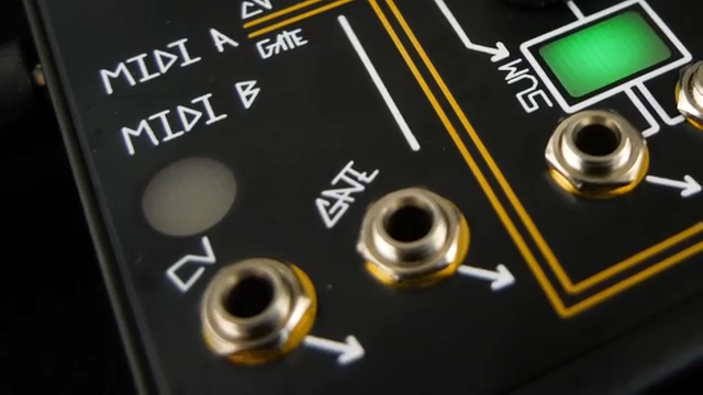 AudioPilz vs. Make Noise 0-Coast: Ein wunderschönes Chaos oder einfach nur Kuddelmuddel?