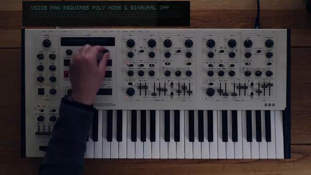 Starsky Carr entfesselt den UDO Domino: Hybrid-Polysynth im Ausnahmezustand