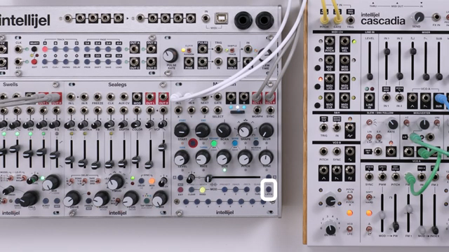 Intellijel Multigrain: Granulare Delay-Taktiken im Modular-Setup