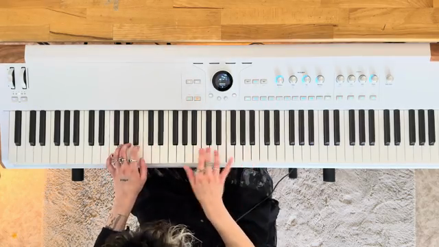 Kein Laptop, keine Audio-Schnittstelle erforderlich, einfach einschalten und spielen.