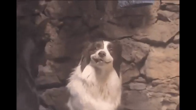 AudioPilz nimmt das OP-1 Field Fiasko unter die Lupe