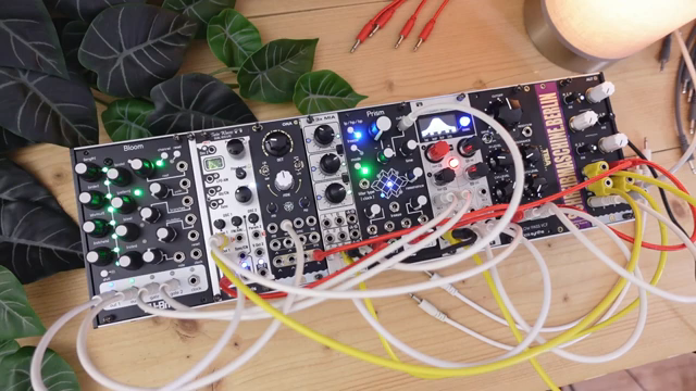 Das funktioniert großartig mit langsamen, sanften Sequenzen.