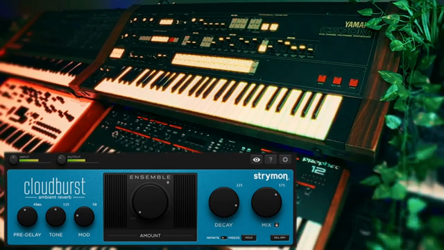 VultureCulture enthüllt die klangliche Majestät des Strymon Cloudburst