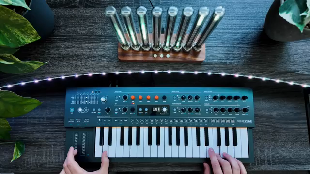 Arturia hat sich gemeldet und angeboten, mir einen Mini-Freak zu schicken, was super cool ist.