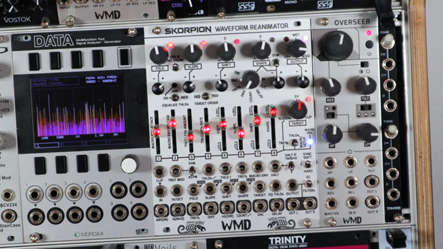 Tauche ein in harmonische Universen mit DivKids SKORPION-Abenteuer