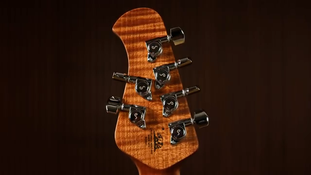 Schaller locking tuners amazing these things stay in tune so well.