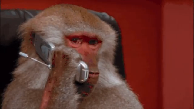 AudioPilz nimmt den Akai MPC Live III unter die Lupe: Hässlich, aber mächtig