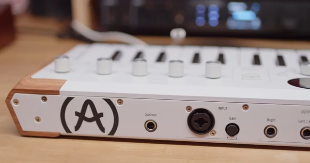 Du findest MIDI-In- und Out-Ports, einen Sustain-Pedal-Eingang, einen Mono-Audioeingang zum Verarbeiten oder Vocoden externer Signale…