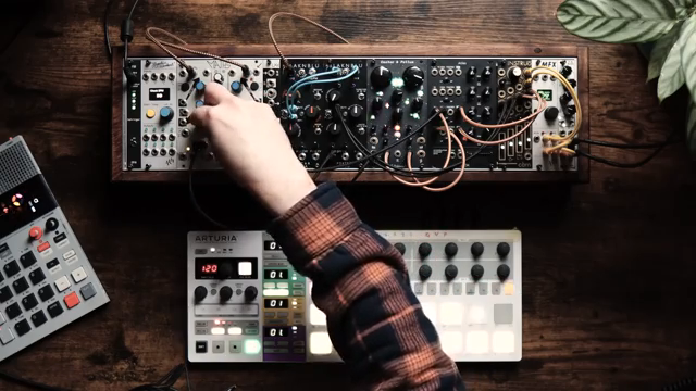 The Unperson’s Sequencer-Showdown: Von Vintage-Steps bis Wahrscheinlichkeits-Chaos