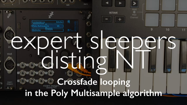 Ab Firmware 1.11 lässt der Poly Multisample Algorithmus auf dem disting NT Samples mit Crossfade-Loops zurückholen, sodass sich aus…