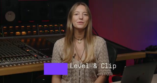 Bus Transient verfügt außerdem über einen vielseitigen Clipper, mit dem du Eingangs- und Ausgangspegel überwachen und sowohl die Spitzen…