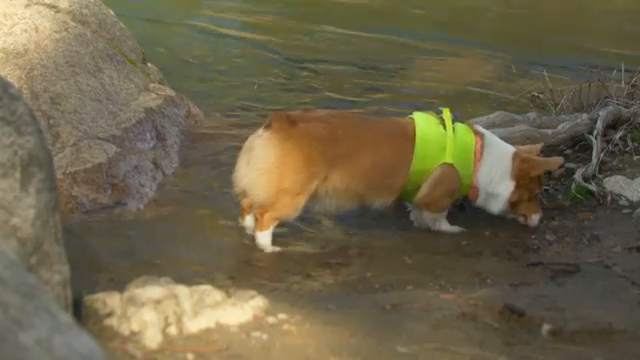 Chompy ist sehr darauf ausgelegt, Samples aufzunehmen, Feldaufnahmen oder was auch immer du sonst hineinpacken willst.
