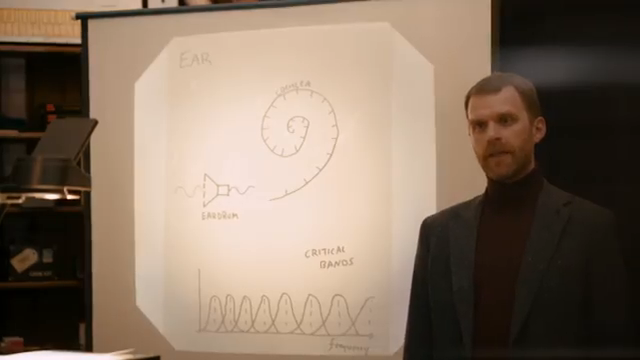 Diese Härchen in der Cochlea funktionieren wie sogenannte Bandpassfilter.