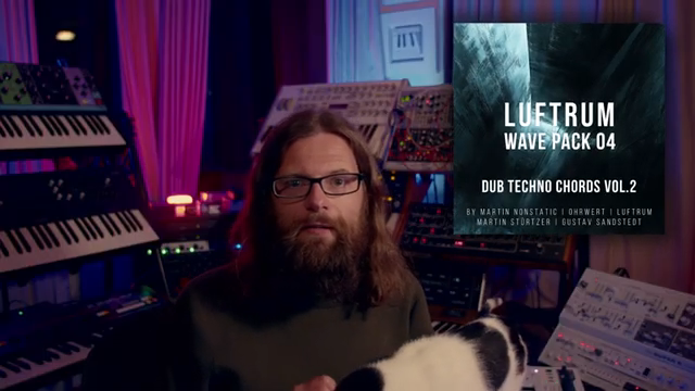 Willkommen zu diesem Dub Techno Production Walkthrough.