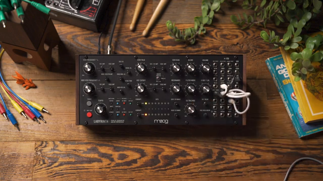 Moog Music Labyrinth: Sequencer im Dialog