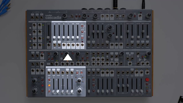 Intellijel Cascadia: Klanggestaltung ohne Patchkabel im Semi-Modular-Universum