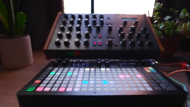 Der HAPAX ist ein riesiger MIDI-Spielplatz, und um wirklich jede Funktion abzudecken, bräuchte es mehr als nur ein paar Videos.