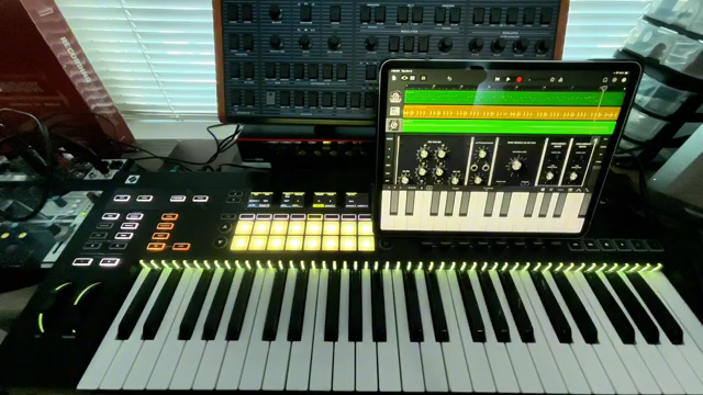 Du kannst tatsächlich interessante Musik und Sounds machen, ohne pleite zu gehen, ohne dich zu ruinieren.