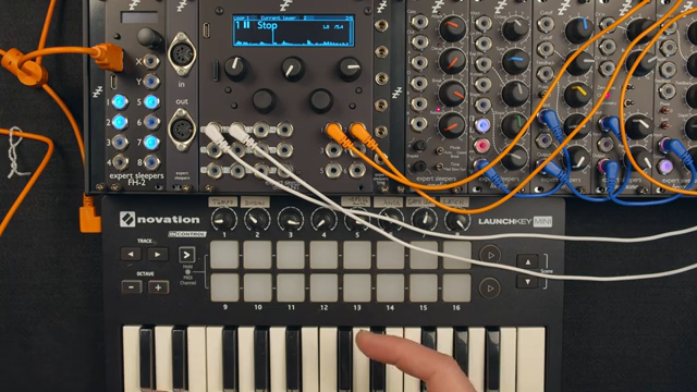 Expert Sleepers Disting NT: Looping in Schichten, Modular-Style