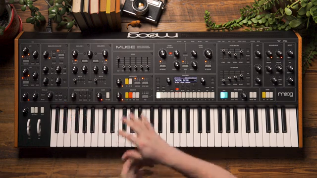 Ein einzelner Regler, der mehrere Panel-Parameter modulieren kann, sodass wir ziemlich radikale Morphings unserer Patches während der…