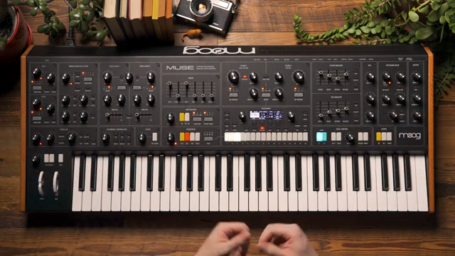 Das eröffnet Muse eine wirklich tiefe und erstaunliche Ausdrucksstärke, besonders beim Spielen auf der Bühne.