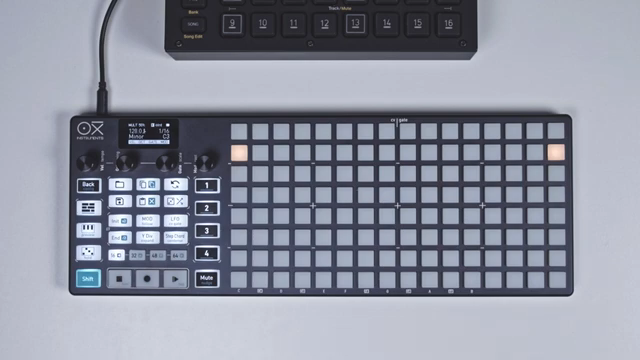 Der Random-Generator ist auch eine sehr schöne Möglichkeit, interessante rhythmische und melodische Patterns im Multitrack-Modus zu…