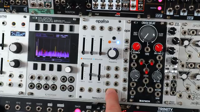 DivKid entfesselt Opalina: Ein Stereo-Filter-Netzwerk, das knallt