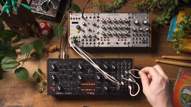 Jetzt habe ich diese beiden Pfade getrennt, sodass EG1 das VCA und das Folding im Folder-Pfad steuert und EG2 den Filter und das VCA im…