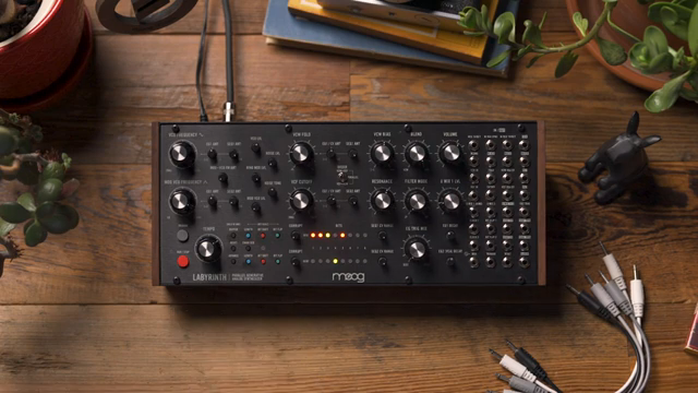 Moog Music Labyrinth: Sequencer-Grundlagen und generative Rhythmen enthüllt
