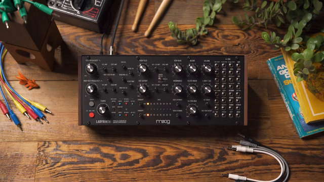 Labyrinth eignet sich besonders gut für Percussion-Sounds, weil wir den Signalweg in ein eher duophones Verhalten aufteilen können, um zwei…