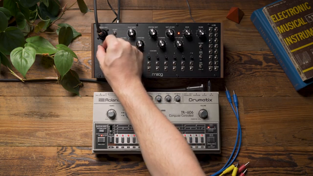 Moog Music Spectravox: Filterbank-Alchemie im Einsatz