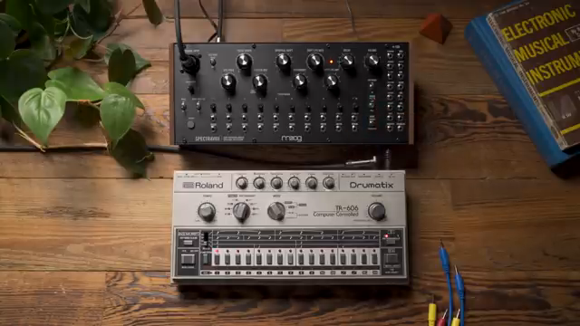 Moog Music Spectravox: Mehr als Vocals – Vocoder-Alchemie mit Drum Machines