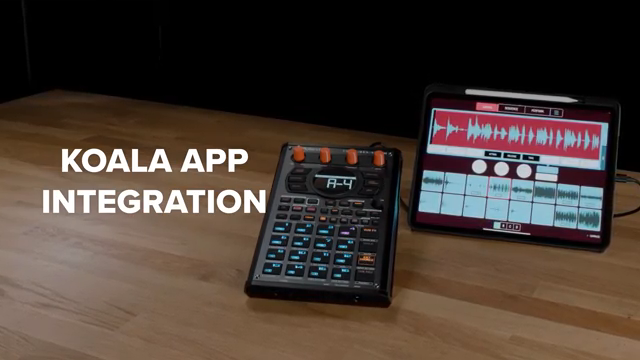 RolandChannel präsentiert das SP-404MKII v4.04: Workflow-Updates für moderne Beatmaker