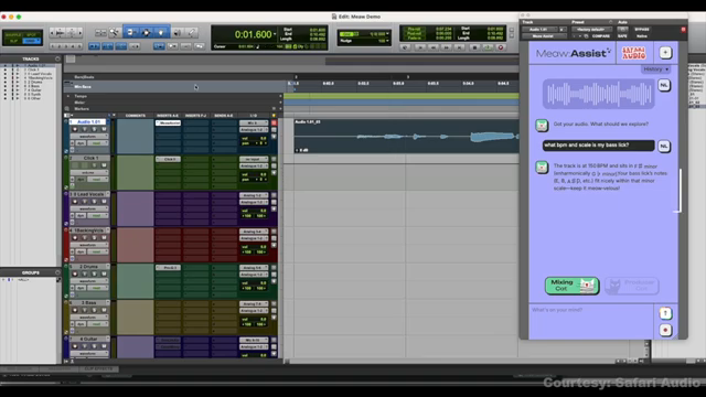 Es antwortet eher wie ein zweites Paar Ohren im Raum.