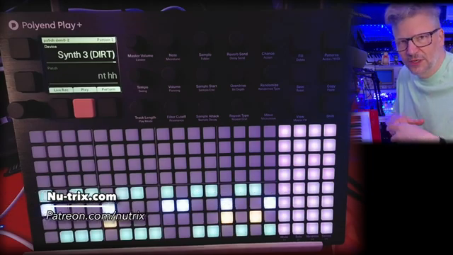 So there's what you have from a normal analog subtractive synthesizer, the basic stuff that you expect. And then you have the DIRT part.