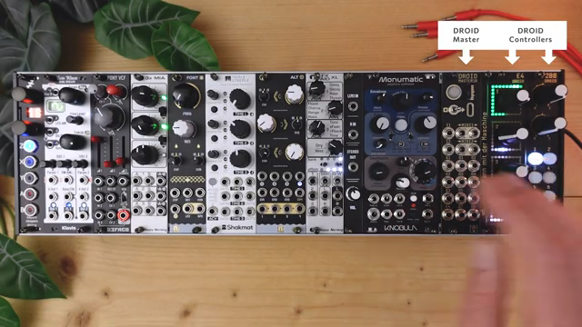Dieser Bereich hier enthält zwei komplette klassische Mono-Stimmen.