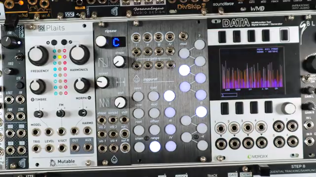 DivKids Ziggurat-Review: Quantizer-Chaos im 14HP-Bunker