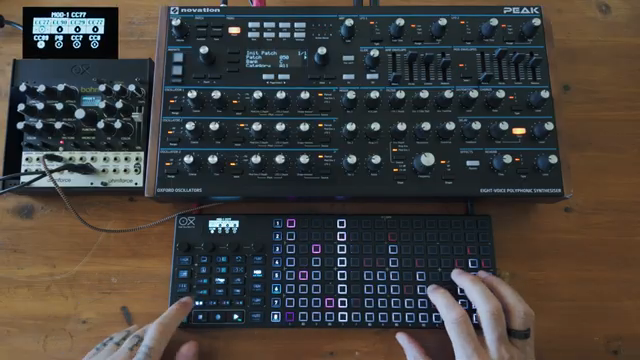 In diesem Fall habe ich zwei Modulationsspuren mit unterschiedlichen Längen und unterschiedlichen rhythmischen Loop-Werten.