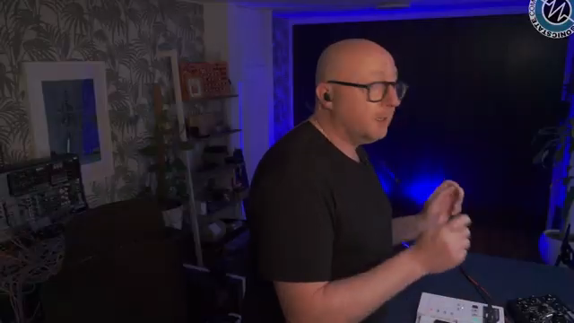 Was wir hier haben, ist ein Effektgerät mit fünf stereo, chromatisch gestimmten, resonierenden Delay-Lines.