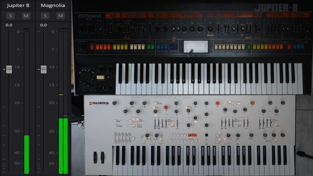 Starsky Carr im Synth-Battle: Jupiter-8 vs Magnolia – Wer gewinnt wirklich?