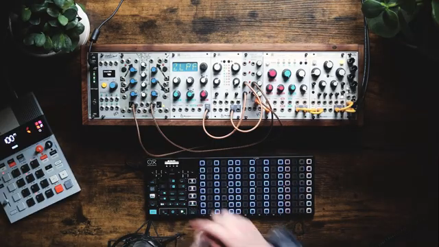 Es ist ein Plaits-basierter Acht-Stimmen-Softsynth.