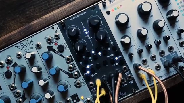State of Mind ist ein 4-Kanal-CV-Generator und Sequencer mit sehr einzigartigen Features wie einem 4-Kanal-harmonisierenden…