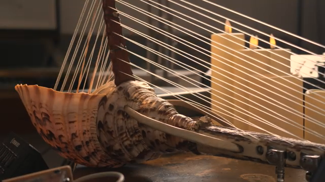 CROW HILLs Forest Harps: Klangmythen aus Knochen und Muschel
