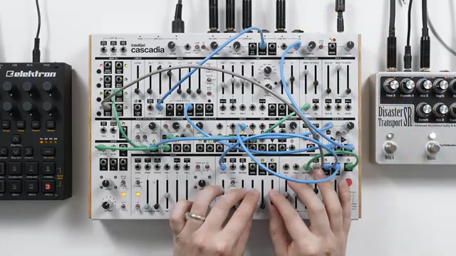 Intellijel Cascadia: Minimal Techno, maximale Patchbarkeit