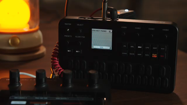 Wir können im Prinzip MIDI von der Black Box 2 an einen anderen Synth schicken, dann das Audio zurück in die Black Box 2 senden und sie…